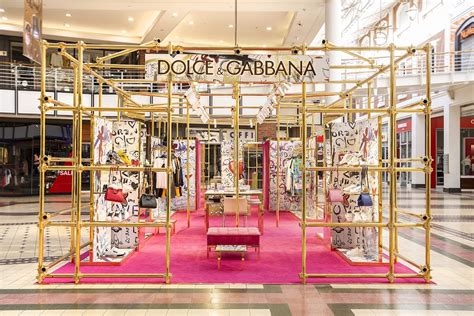 dolce gabbana cape town.